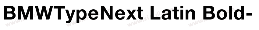 BMWTypeNext Latin Bold字体转换